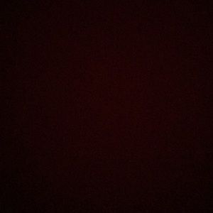 Meet your Posher, Brady